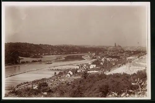 Fotografie Brück & Sohn Meissen, Ansicht Meissen i. Sa., Blick auf die Stadt von der Bosel aus gesehen