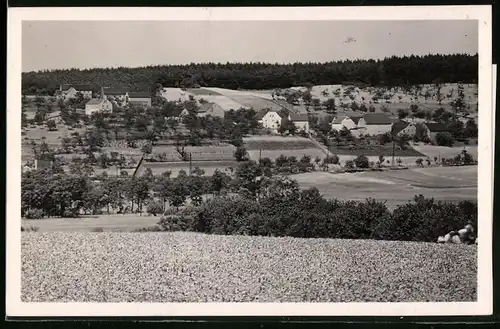 Fotografie Brück & Sohn Meissen, Ansicht Golk, Blick auf die Ortschaft mit Wohnhäusern