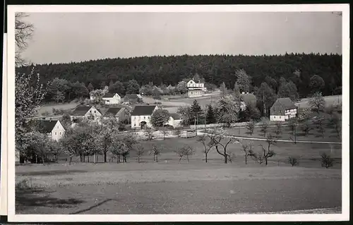 Fotografie Brück & Sohn Meissen, Ansicht Hetzdorf, Blick auf den Ort im Tharandter Wald