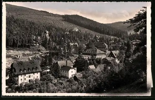 Fotografie Brück & Sohn Meissen, Ansicht Kipsdorf i. Erzg., Blick in den Ort mit dem Kurhaus und Kirche