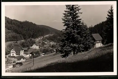 Fotografie Brück & Sohn Meissen, Ansicht Wildenthal i. Erzg., Blick in den Ort mit dem Hotel zur Post