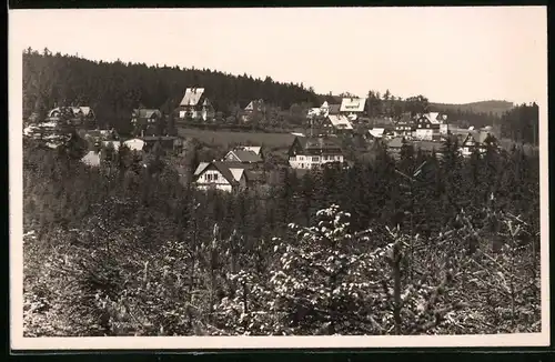 Fotografie Brück & Sohn Meissen, Ansicht Oberbärenburg i. Erzg., Blick vom Wald auf den Ort