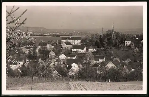 Fotografie Brück & Sohn Meissen, Ansicht Gauernitz-Constappel, Blick auf den Ortsteil mit Kirche