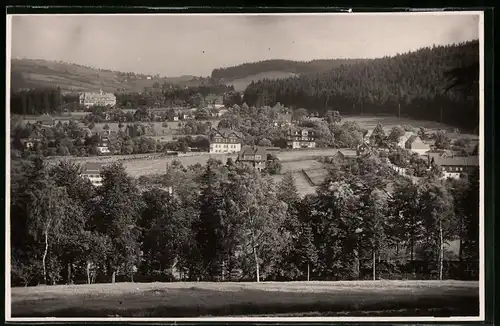 Fotografie Brück & Sohn Meissen, Ansicht Bärenfels i. Erzg., Blick auf den Ort mit Pension Felsenburg und Villy Lydia