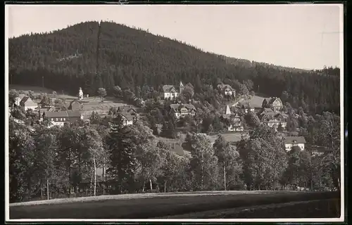 Fotografie Brück & Sohn Meissen, Ansicht Bärenfels i. Erzg., Blick auf den Ort mit Wohnhäusern