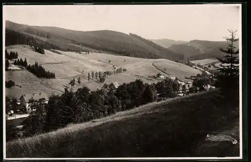 Fotografie Brück & Sohn Meissen, Ansicht Wildenthal i. Erzg., Blick vom Berg auf die Häuser im Ort