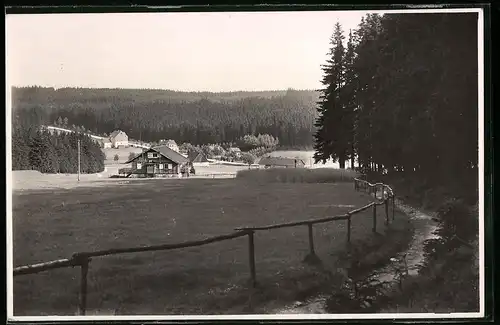 Fotografie Brück & Sohn Meissen, Ansicht Steinbach i. Erzg., Blick auf den Ort vom Waldesrand aus gesehen
