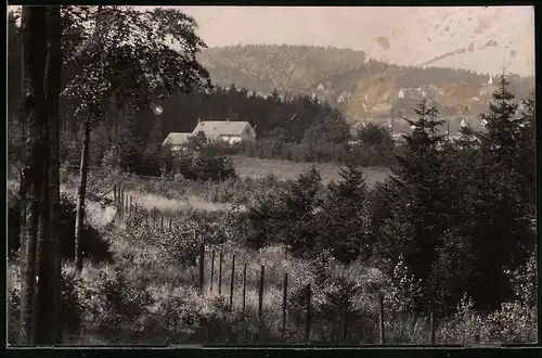 Fotografie Brück & Sohn Meissen, Ansicht Hartha-Hintergersdorf, Blick vom Wald auf die Waldschänke