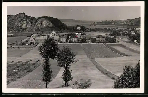 Fotografie Brück & Sohn Meissen, Ansicht Diesbar-Nieschütz, Blick auf den Ortsteil mit Wohnhäusern, Materialwarenhandlel