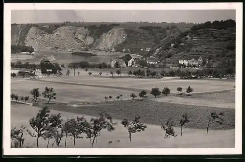 Fotografie Brück & Sohn Meissen, Ansicht Diesbar-Nieschütz, Blick aus dem Ort mit Wohnhäusern zur Elbe, Steinbruch