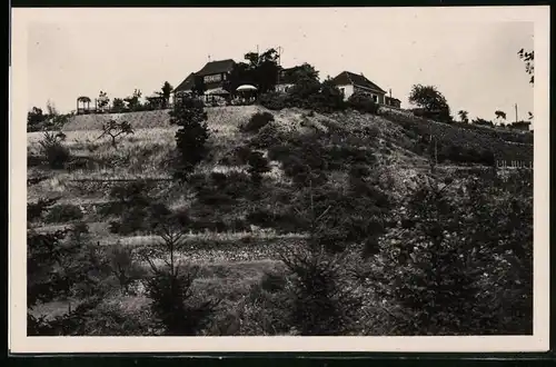 Fotografie Brück & Sohn Meissen, Ansicht Meissen i. Sa., Blick auf die Stadtparkhöhe mit Gasthaus