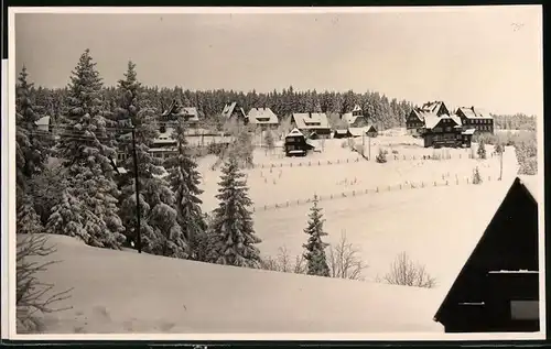 Fotografie Brück & Sohn Meissen, Ansicht Oberbärenburg i. Erzg., verschneite Ortsansicht mit Wohnhäusern