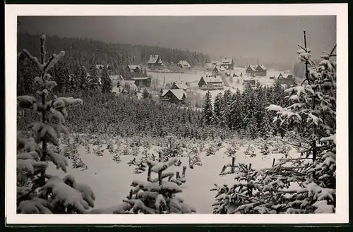 Fotografie Brück & Sohn Meissen, Ansicht Oberbärenburg i.Erzg., Blick vom Wald auf den verschneiten Ort