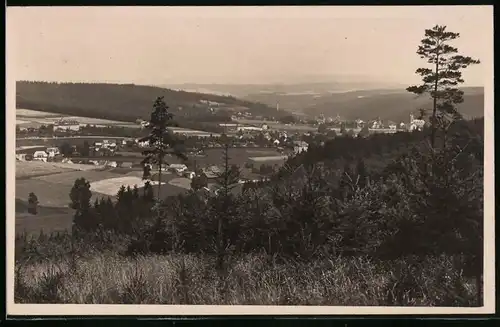 Fotografie Brück & Sohn Meissen, Ansicht Bad Elster, Blick über den Tannenwald nach der Stadt