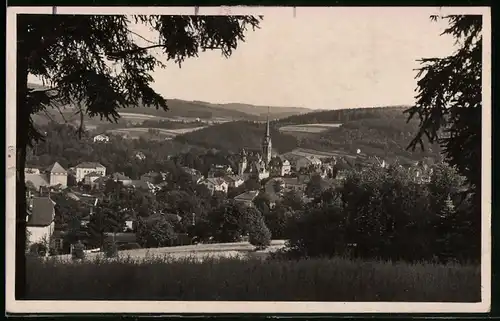 Fotografie Brück & Sohn Meissen, Ansicht Bad Elster, Blick aus dem Wald auf die Stadt mit Kirche