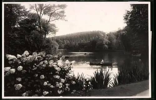 Fotografie Brück & Sohn Meissen, Ansicht Bad Elster, Blick auf den Gondelteich mit Ruderboot und blühenden Azaleen