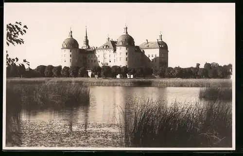 Fotografie Brück & Sohn Meissen, Ansicht Moritzburg b. Meissen, Blick nach dem Jagdschloss