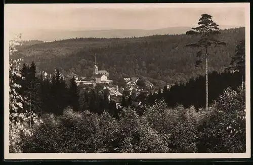 Fotografie Brück & Sohn Meissen, Ansicht Bad Elster, Blick aus dem Wald auf den Ort mit Kirche