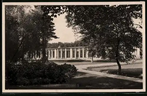 Fotografie Brück & Sohn Meissen, Ansicht Bad Elster, Blick auf die Wandelhalle im Kurpark