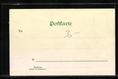 Lithographie Rudolstadt, Totalansicht aus der Vogelschau