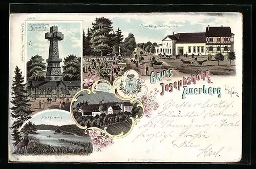 Lithographie Auerberg /Harz, Gast- und Logirhaus Josephshöhe und Auerberg mit Strasse und Garten, Aussichtsthurm
