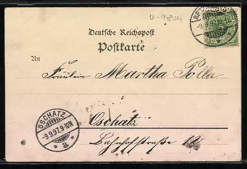 Lithographie Netzschkau, Teilansicht mit Kuhberg, Gräfliches Schloss, Göltzschtalbrücke mit Eisenbahn