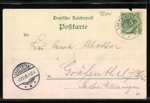 Lithographie Netzschkau, Hotel Bad Rosenthal, Ortspartie mit Pavillon, Panorama