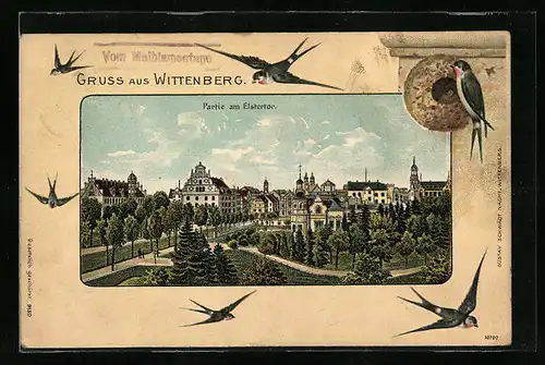 Passepartout-AK Wittenberg, Partie am Elstertor, Schwalben mit Nest