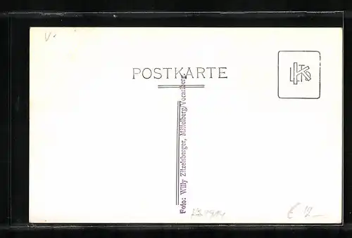 AK Mittelberg, Gasthof Alpenrose mit Terrasse