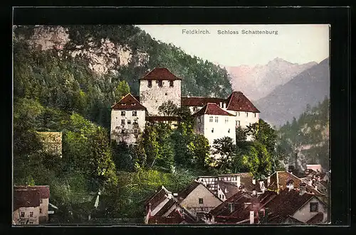 AK Feldkirch, Schloss Schattenburg mit näherer Umgebung