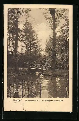AK Apolda, Schwanenteich in der Schötener Promenade