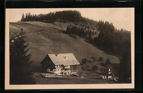 AK Bregenz a. B., Pfänderspitze mit Hotel und Dohle