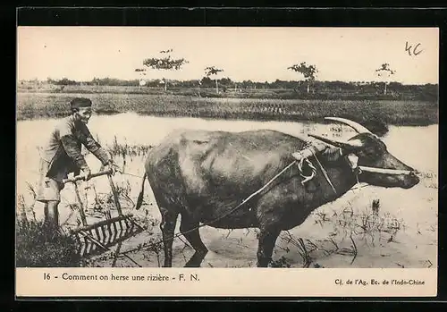 AK China, Bauer mit Wasserbüffel-Gespann beim Pflügen eines Reisfeldes