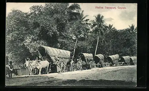 AK Ceylon, Rinder-Gespann vor einer Reihe von Wagen