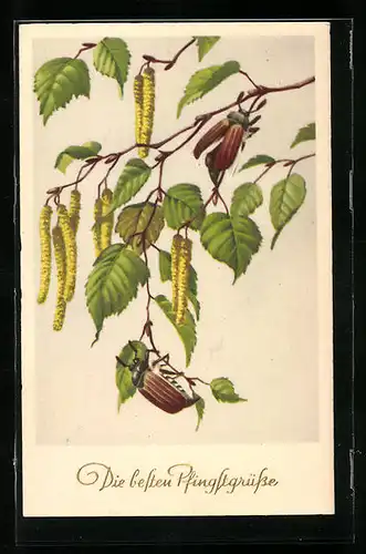 Künstler-AK Zwei Maikäfer an Birkenzweig mit Troddeln, Pfingstgruss