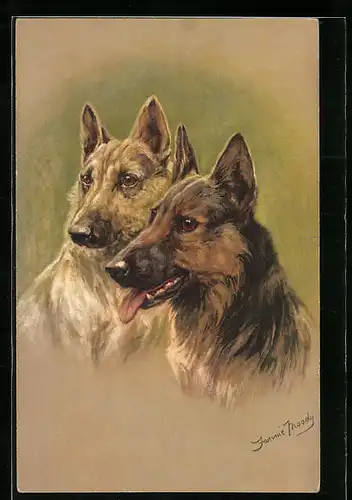 Künstler-AK Zwei Schäferhunde mit aufmerksamem Blick
