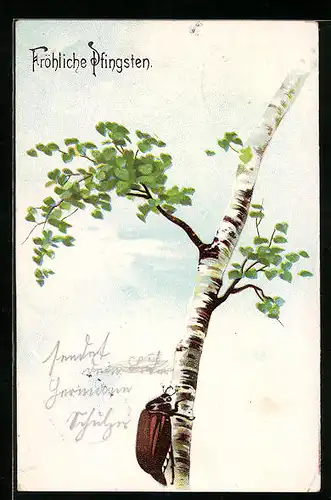 Künstler-AK Maikäfer klettert eine Birke hinauf, Pfingstgruss