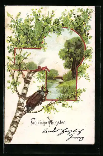 Künstler-AK Maikäfer auf Birke vor Frühlingslandschaft, Pfingstgruss