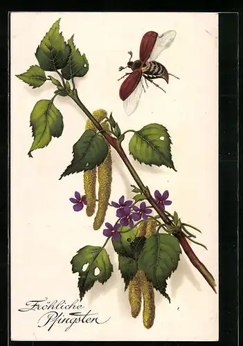 Künstler-AK Fliegender Maikäfer mit Birkenzweig und Blüten, Pfingstgruss