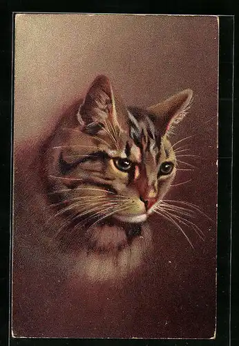 Künstler-AK Portrait einer getigerten Katze
