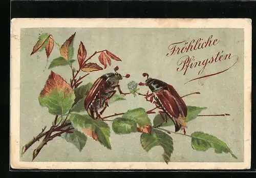 Künstler-AK Zwei Maikäfer auf einem Birkenzweig, Pfingstgruss