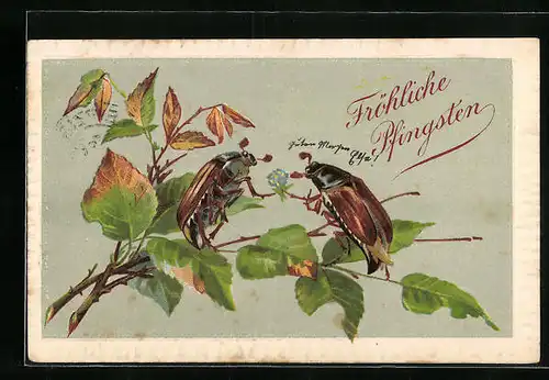 Präge-AK Maikäfer überreicht ein Blumensträusschen, Pfingstgruss