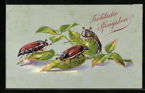 Künstler-AK Drei Maikäfer auf einem Zweig mit grünen Blättern, Pfingstgruss