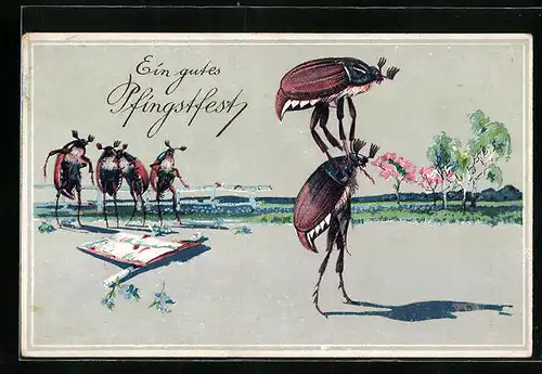 Künstler-AK Zwei Maikäfer führen akrobatische Kunststücke vor, Pfingstgruss