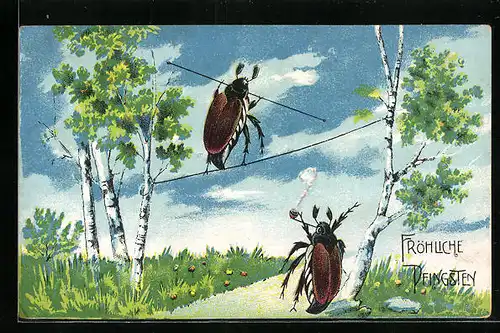 Künstler-AK Balancierender und Pfeife rauchender Maikäfer, Pfingstgruss