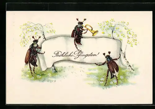 Künstler-AK Drei Maikäfer und Schild Fröhliche Pfingsten, Pfingstgruss