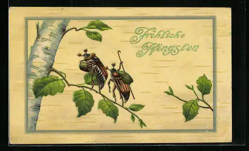 Künstler-AK Maikäfer mit Muff und Maikäfer mit Spazierstock auf Birke, Pfingstgruss