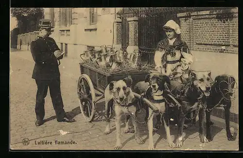 AK Flämische Milchfrau mit Hundegespann und Polizist