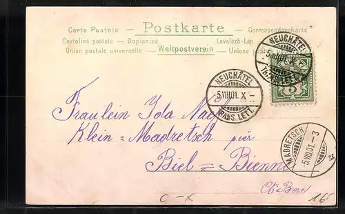 AK Neuchatel, Ortsansicht aus der Vogelschau