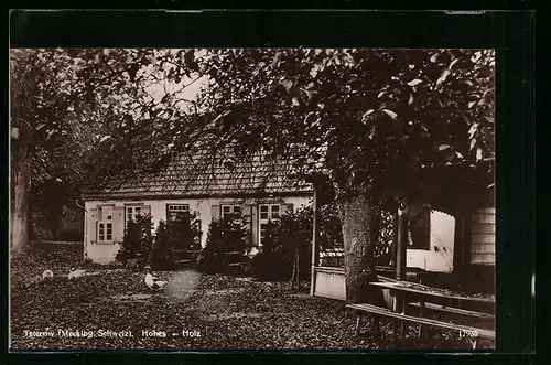 AK Teterow /Meckl., Haus Hohes-Holz mit Garten